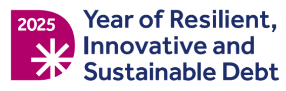 2025 Year of Innovative, Resilient and Sustainable Debt 