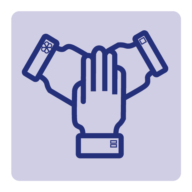 CVE icon