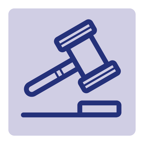 CVE icon